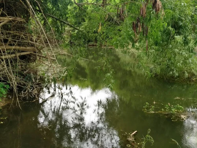 ขายที่ดิน 6-2-04 ไร่ ติดห้วย ห้วยผาก ตกลัดหลวง อท่ายาง เพชรบุรี