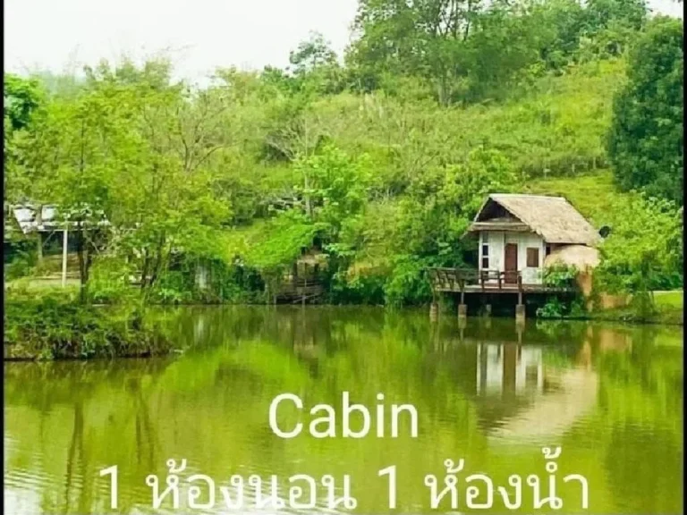 ขายบ้านสวน 29-2-46 ไร่ ดอยฮาง อเมือง จังหวัดเชียงราย