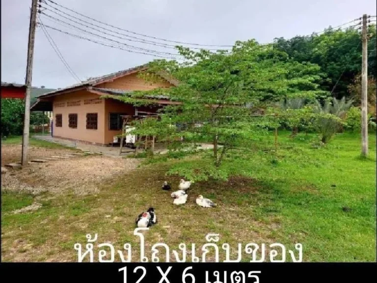 ขายบ้านสวน 29-2-46 ไร่ ดอยฮาง อเมือง จังหวัดเชียงราย