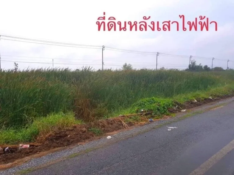 ขายที่ดิน 6-1-22 ไร่ สมุทรปราการ ถเทพารักษ์ กม 19 แยกคลอง 5