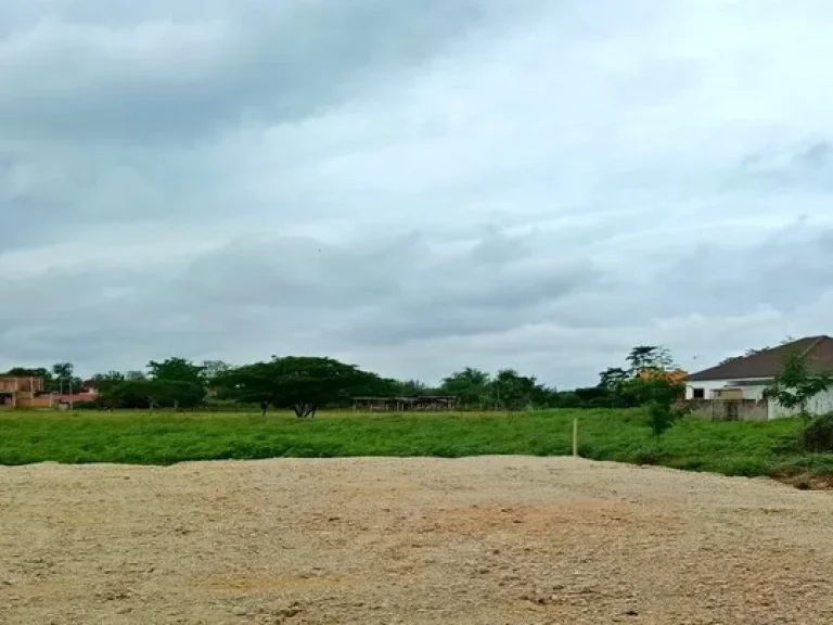 ขายที่ดิน ในเมือง โซน พระเจ้าทันใจ ตบ่อแฮ้ว อเมือง จลำปาง