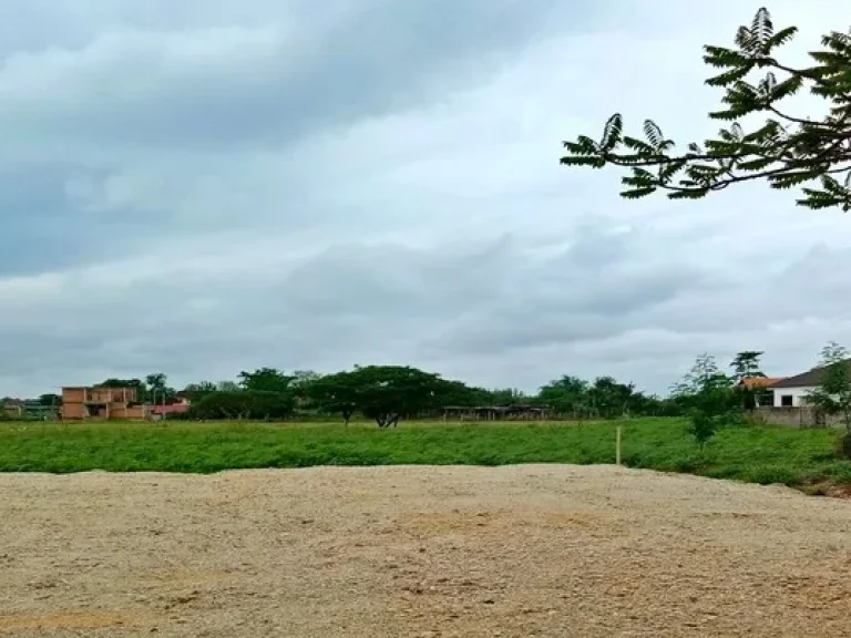 ขายที่ดิน ในเมือง โซน พระเจ้าทันใจ ตบ่อแฮ้ว อเมือง จลำปาง