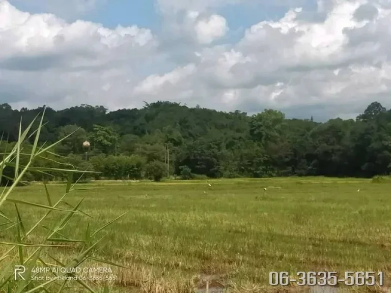 ที่ดินแบ่งขาย วิวเขาล้อม ตศรีนาวา อเมืองนครนายก ที่สวย เริ่มต้น 300 ตรว ฟรีขุดโคกหนองนาให้