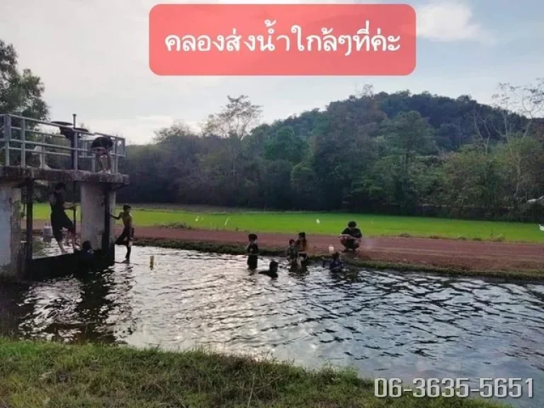 ที่ดินแบ่งขาย วิวเขาล้อม ตศรีนาวา อเมืองนครนายก ที่สวย เริ่มต้น 300 ตรว ฟรีขุดโคกหนองนาให้