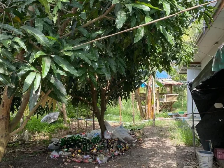 บ้านสวนติดริมคลองธรรมชาติพระมอพิสัย 200 ตรว อบางเลน จนครปฐม