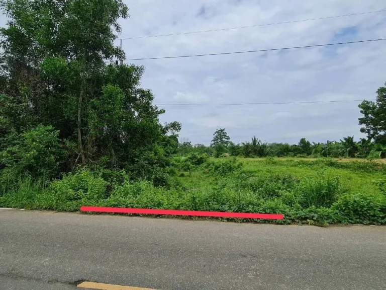 ขายที่ดินท่าหรั่ง ใกล้สนามบินหาดใหญ่ 52 ตรวา เจ้าของขายเอง