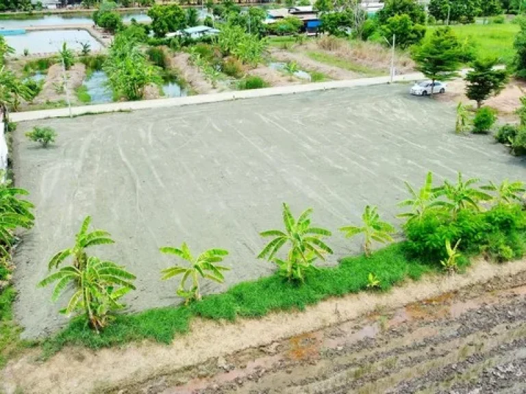 ขายที่ดินแปดริ้ว 120 ตรว ติดถนนคอนกรีต ใกล้โรบินสันฉะเชิงเทรา 53 กม บางกระไห เมือง ฉะเชิงเทรา