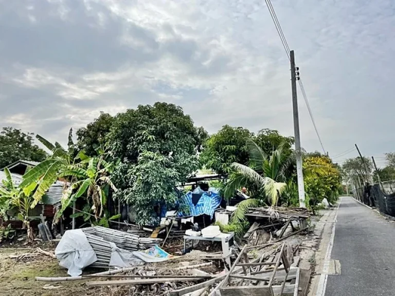 ขายที่ดินบางคูรัด บางบัวทอง นนทบุรี ราคาถูก 75 ตรวา ใกล้หมู่บ้านพฤกษา3 ถนนเลียบคลองโต๊ะใหม่ ทำเลดี