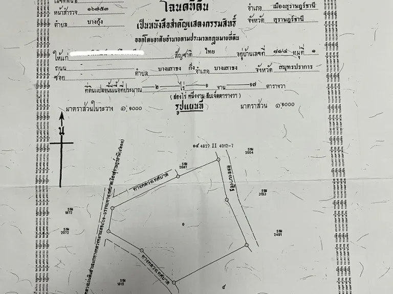 ขายที่ดิน เนื้อที่ 2 ไร่ 1 งาน 17 ตารางวา ที่ถมเรียบร้อย ระดับถนน ที่เมืองสุราษฎร์ธานี