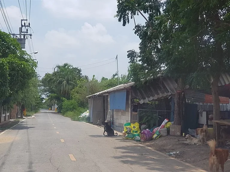 ขาย ที่ดินเปล่า ถมแล้ว อไทรน้อย จนนทบุรี 100 ตรว