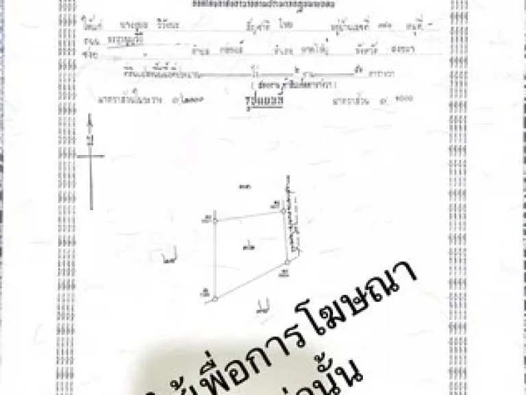 ขายที่ดินเปล่า 3 ไร่ ทำเลดี ถนนทางไปโตนงาช้าง เข้าซอยไปอยู่ซ้ายมือ อำเภอหาดใหญ่ สงขลา