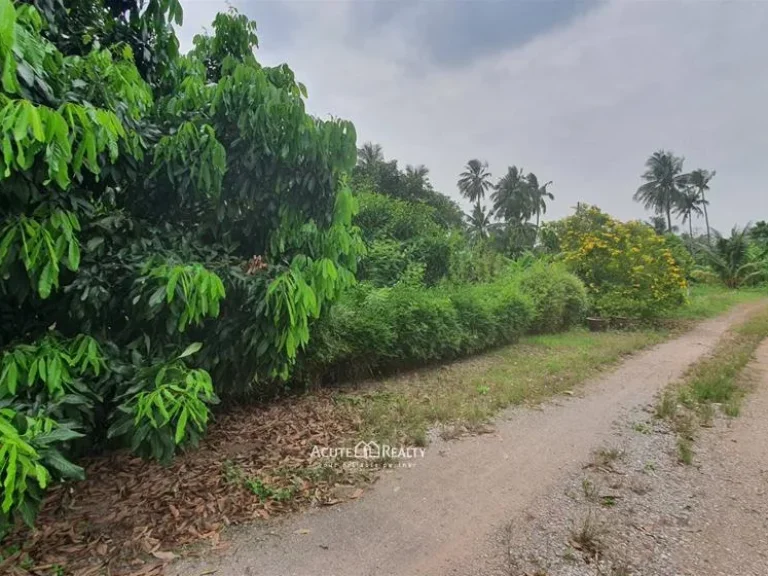 ขายที่ดิน 700 ตรว ใกล้ถนนพระราม 2 เพียง 1 กม เหมาะสำหรับปลูกบ้านหรือประกอบธุรกิจ