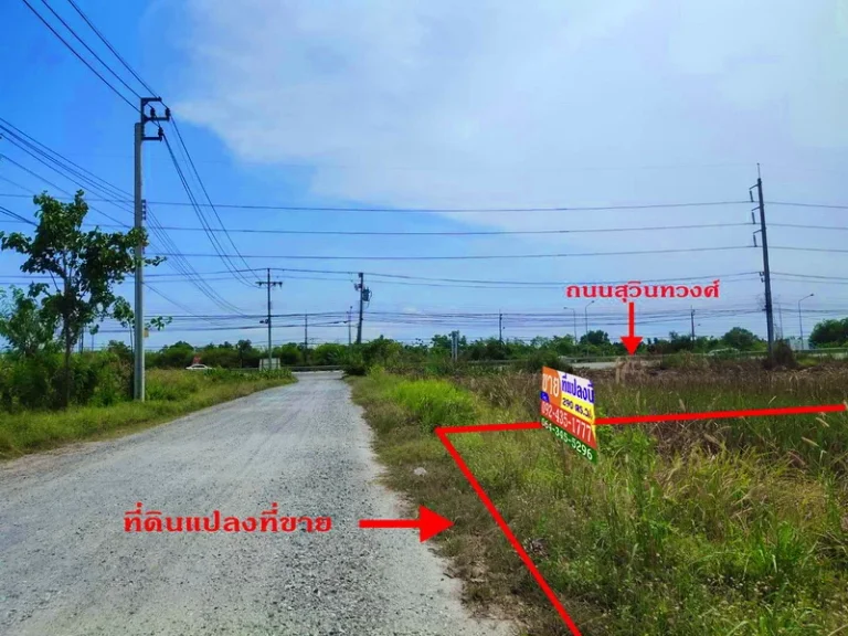 ที่ดิน 290 ตรว ซสุวินทวงศ์ 57 ตรงข้ามฮาราจูกุไทยแลนด์ ห่างถนนสุวินทวงศ์เพียง 50 เมตร