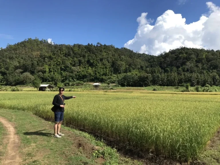 ขายที่ดินสวยทำเลดีวิวภูเขา ใกล้สถานที่ท่องเที่ยว อสะเมิง จเชียงใหม่