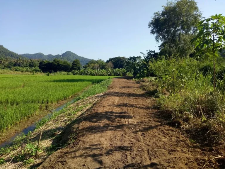 ขายที่ดินสวยทำเลดีวิวภูเขา ใกล้สถานที่ท่องเที่ยว อสะเมิง จเชียงใหม่