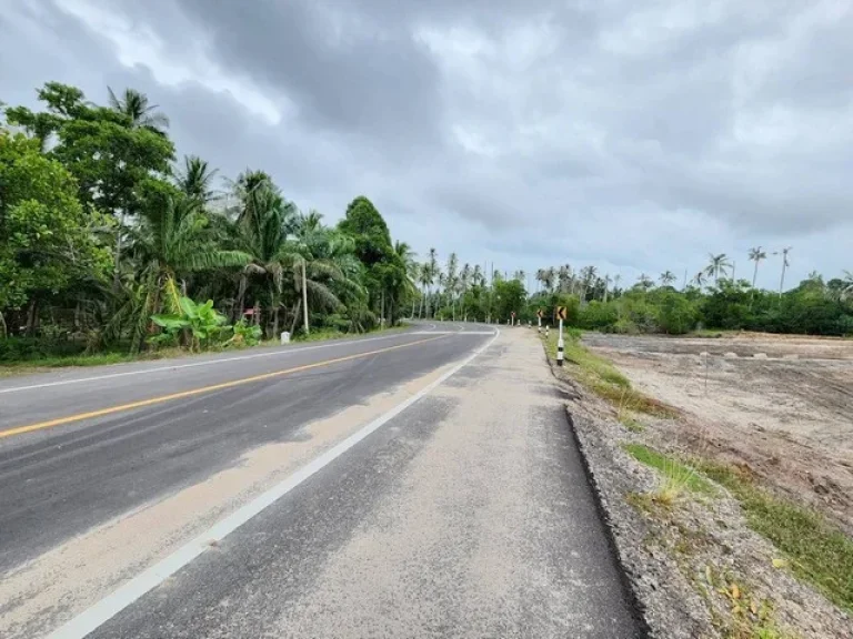 ที่ดิน เหลือเพียง 4 ล็อคสุดท้าย รีบจองด่วน 3 อารมณ์ หาดคอเขา อหลังสวน