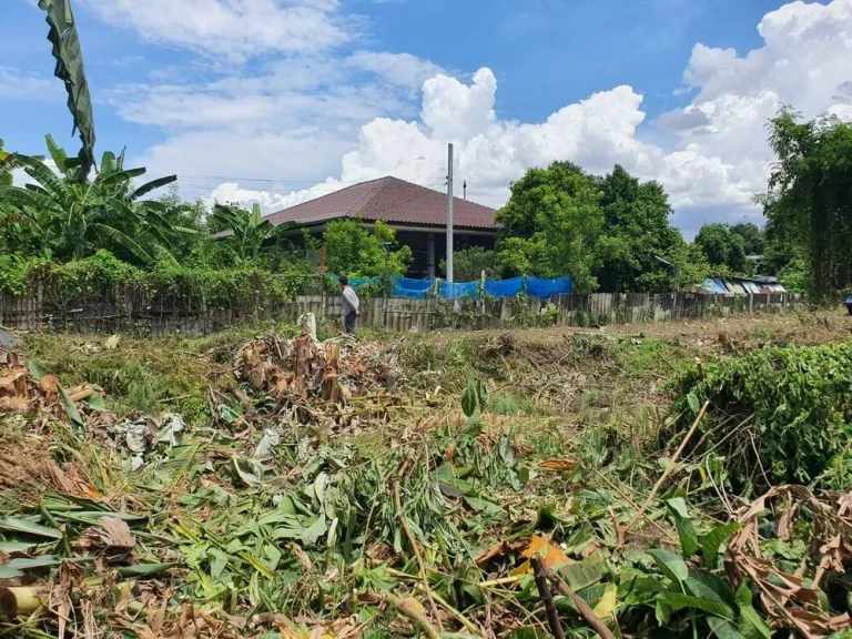 ขายที่ดิน ขนาด 409 ตรว ถนนรัตนาธิเบศร์ ซอย 17 แยก3 ขายใกล้เคียงราคาประเมิน