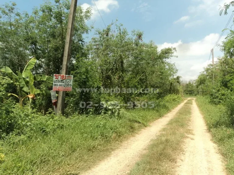 ขายที่ดิน ถนนเลียบคลองซอยที่ 6 ตะวันตก คลองหก ถนนรังสิตนครนายก คลองหลวง ปทุมธานี