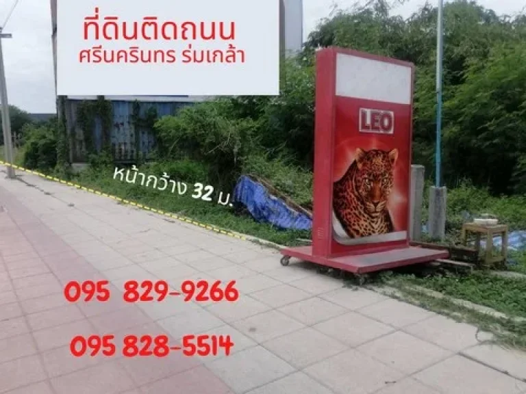 ขายที่ดิน 4-1-52 ไร่ ใกล้สนามบินสุวรรณภูมิ ถนนศรีนครินทร์-ร่มเกล้า-กรุงเทพกรีฑา ลาดกระบัง กรุงเทพ