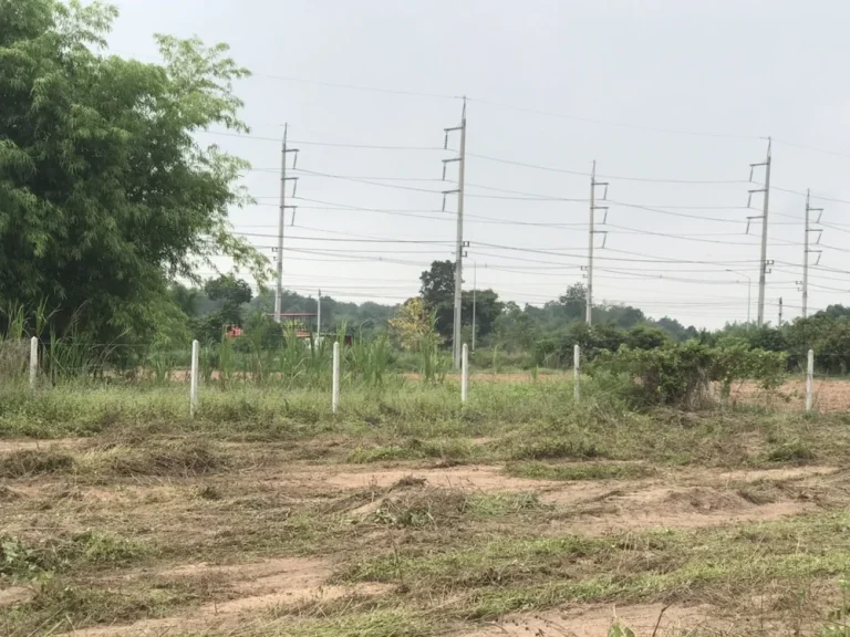 ที่ดินโฉนด 1 ไร่ 2 งานกว่า ติดถนนลาดยาง มีไฟฟ้าประปา ที่เสมอถนน ใกล้ตลาด ม ราชภัฎ