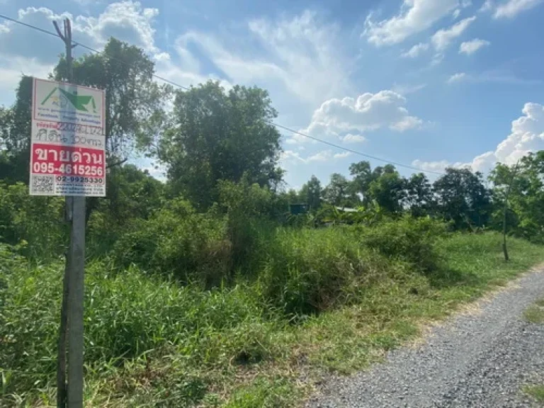 ขายที่ดินเปล่า 100 ตรว ถนนพหลโยธิน87 ตประชาธิปัตย์ อธัญบุรี จปทุมธานี