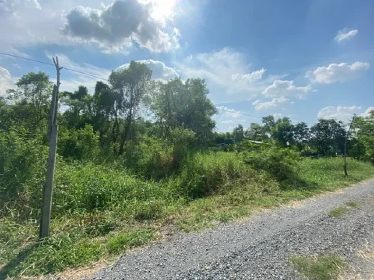 ขายที่ดินเปล่า 100 ตรว ถนนพหลโยธิน87 ตประชาธิปัตย์ อธัญบุรี จปทุมธานี