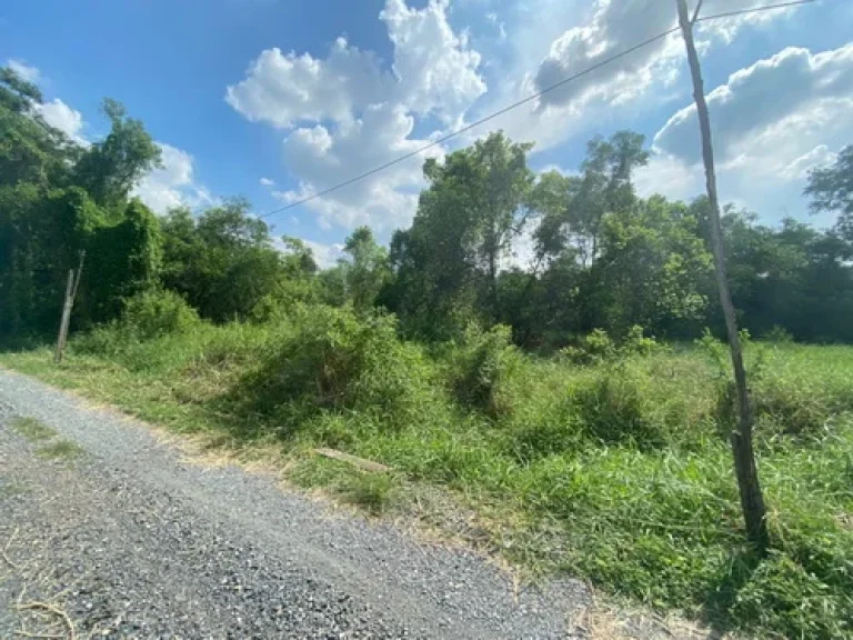 ขายที่ดินเปล่า 100 ตรว ถนนพหลโยธิน87 ตประชาธิปัตย์ อธัญบุรี จปทุมธานี