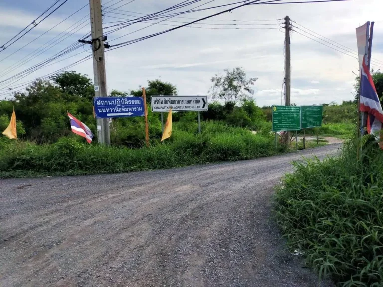 ที่ดิน บางน้ำเปรี้ยว ติดถนน3200 ตโพรงอากาศ ฉะเชิงเทรา