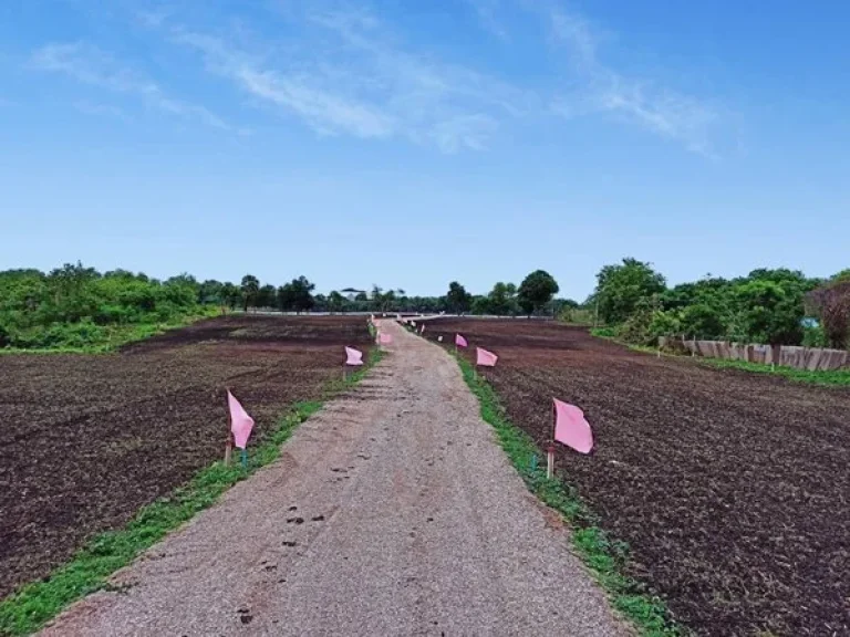 ที่ดินแบ่งขายสระบุรี เริ่ม100 ตรว 199000 บาท ท่ามกลางธรรมชาติ