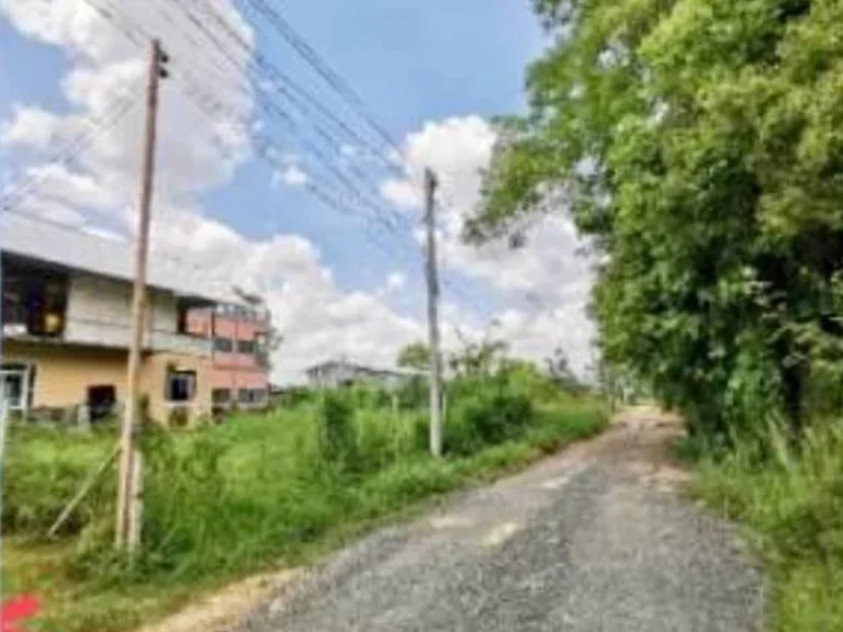 ขายด่วน ที่ดินติดลำเหมือง 62 ตรว ตป่าลาน ดอยสะเก็ด เชียงใหม่