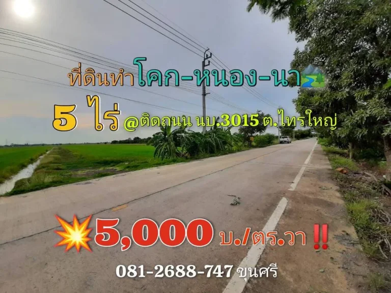 ขายด่วน ที่ดินสีม่วง 5 ไร่ติดถนน นบ3015 ตไทรใหญ่ อไทรน้อย