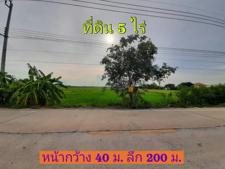 ขายด่วน ที่ดินสีม่วง 5 ไร่ติดถนน นบ3015 ตไทรใหญ่ อไทรน้อย