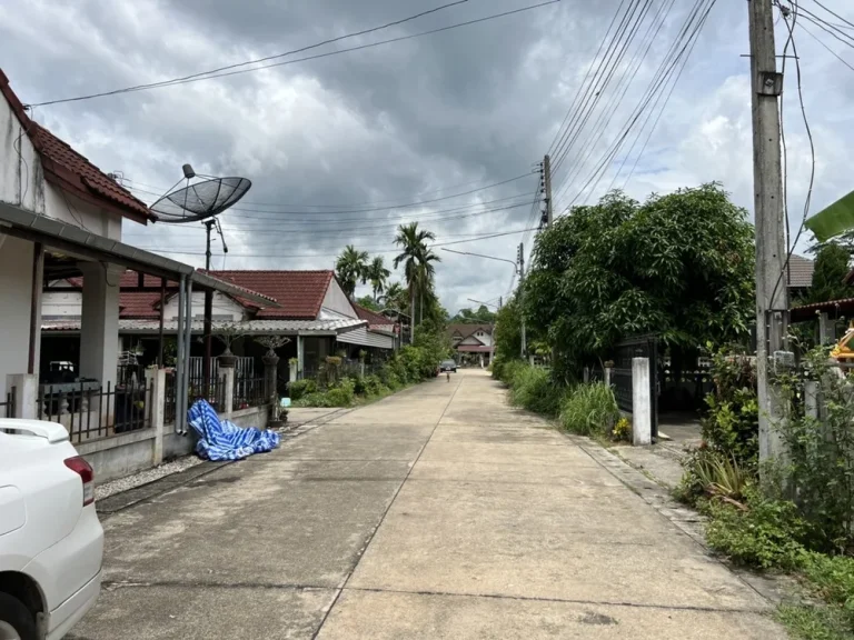 ขายที่ดินเปล่า ตริมใต้ อแม่ริม จเชียงใหม่ พื้นที่สวย