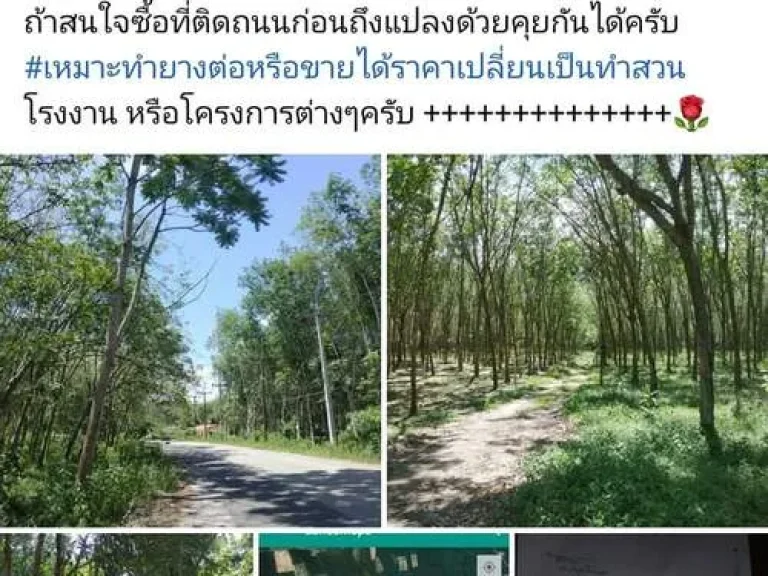 หัวอนุญาตแอดมินครับขายบ้านที่ดินหาดใหญ่สงขลาโซนใต้