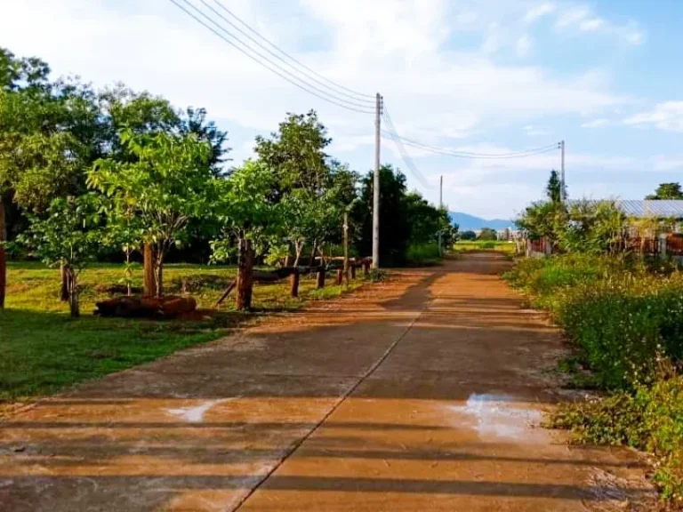 ที่ดินเปล่าพร้อมบ้านไม้สไตล์หลองข้าว ที่ดินติดแม่น้ำ บ้านดู่เมืองเชียงราย