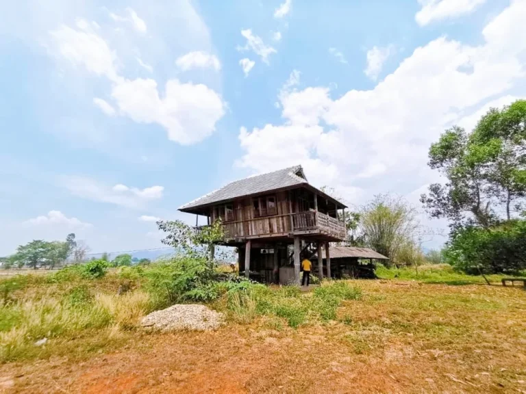 ที่ดินเปล่าพร้อมบ้านไม้สไตล์หลองข้าว ที่ดินติดแม่น้ำ บ้านดู่เมืองเชียงราย