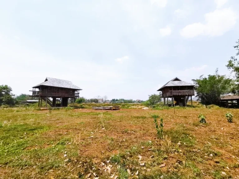 ที่ดินเปล่าพร้อมบ้านไม้สไตล์หลองข้าว ที่ดินติดแม่น้ำ บ้านดู่เมืองเชียงราย