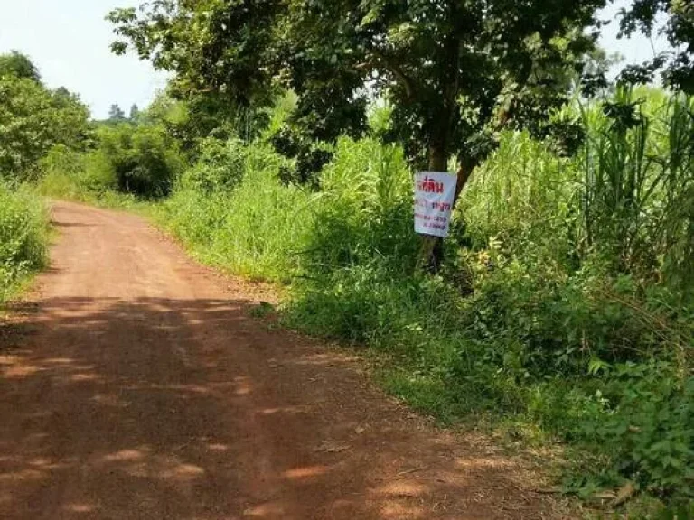 ขายด่วน ที่ดินสวย พร้อมโฉนดบรรยากาศดี เดินทางสะดวก อำเภอเพ็ญ อุดรธานี