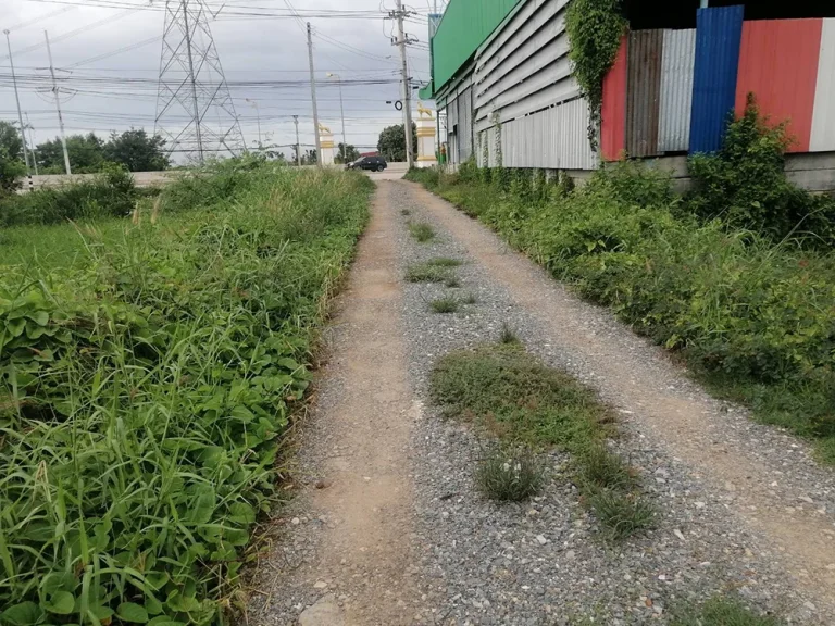 ขายที่ดิน 101ตรว ใกล้สะพานสี่แยกอินโดจีน เมืองพิษณุโลก เจ้าของขายเอง