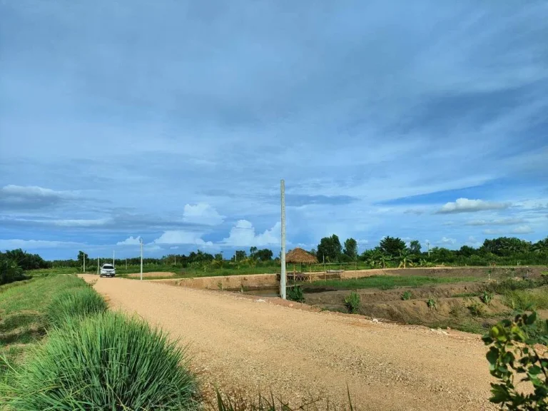 ที่ดินแบ่ง 4 แปลงสุดท้าย บ้านสวนเกษตร คลอง14 หนองเสือ ปทุมธานี