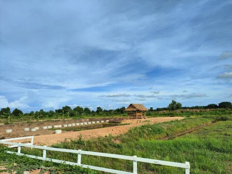 ที่ดินแบ่ง 4 แปลงสุดท้าย บ้านสวนเกษตร คลอง14 หนองเสือ ปทุมธานี