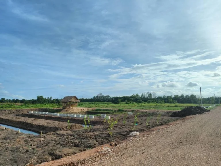 ที่ดินแบ่ง 4 แปลงสุดท้าย บ้านสวนเกษตร คลอง14 หนองเสือ ปทุมธานี