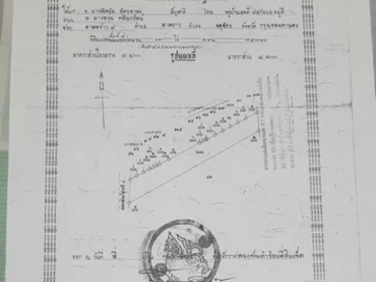 ขายที่ดิน คลองเจ็ดติดถนนลำลูกกา-วังน้อย เนื้อที่ 13ไร่ 3 งาน 8ตรวา เจ้าของขายเอง