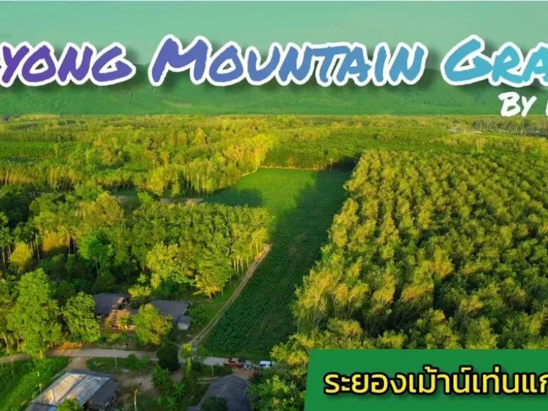 ที่ดินเปล่า ระยอง mountain grand อำเภอบ้านค่าย จังหวัดระยอง