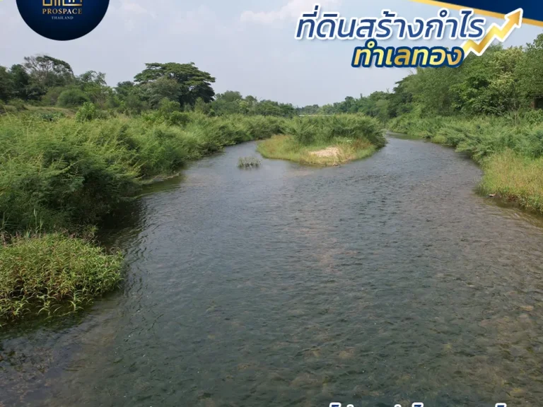 ี่ดินติดแม่น้ำวัง ใกล้ถนนหมายเลข1 ถนนมุ่งสู่ภาคเหนือ ใกล้แหล่งสถานที่ท่องเที่ยวธรรมชาติมากมาย