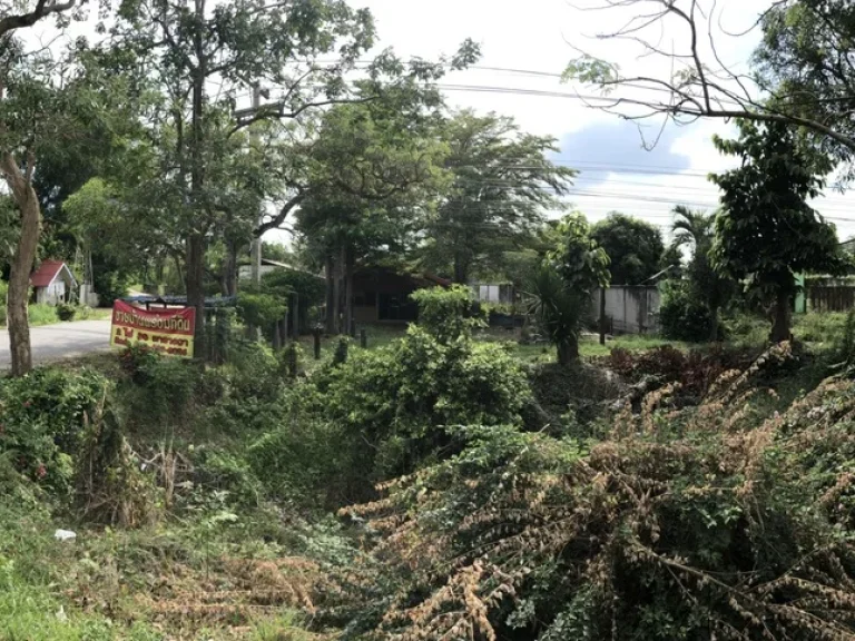 ขายที่ดิน2ไร่ ติดถนนใหญ่สายเอเซียพร้อมสิ่งปลูกสร้าง อวชิรบารมี จพิจิตร