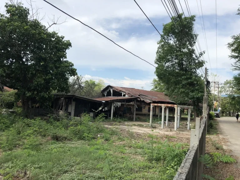 ขายที่ดิน2ไร่ ติดถนนใหญ่สายเอเซียพร้อมสิ่งปลูกสร้าง อวชิรบารมี จพิจิตร