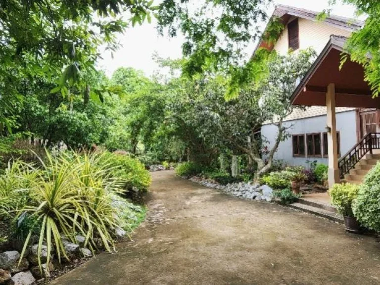 Villa khao yai for sale ขายบ้านพักตากอากาศเขาใหญ่ 3 ไร่ อยู่เส้นธนะรัชต์ ท่าช้างบ้านไร่ หมูสี บ้านสวยพร้อมสวนขนาดใหญ่ ใกล้อุทยานแห่งชาติเขาใหญ่