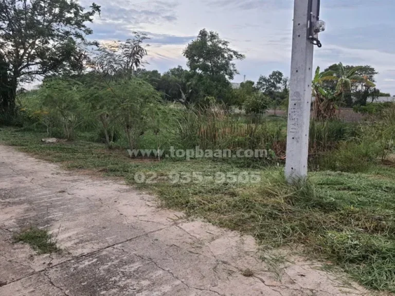 ขายที่ดิน ใกล้อนามัยราษฎร์นิยม ถนนบางบัวทอง-สุพรรณบุรี อำเภอไทรน้อย นนทบุรี