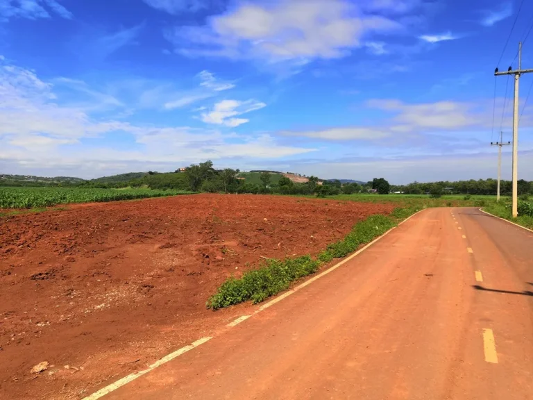 ขายที่ดินสวย อากาศดี 50 ไร่ อปากช่อง ตคลองม่วง ใกล้ Mövenpick Resort Khao Yai ใกล้ Sugavia Healthy Land